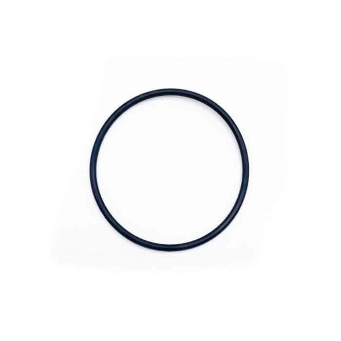 1994 - 1997 Ford F - Series 7.3 Powerstroke Compressor Cover Outlet O - Ring (300891)