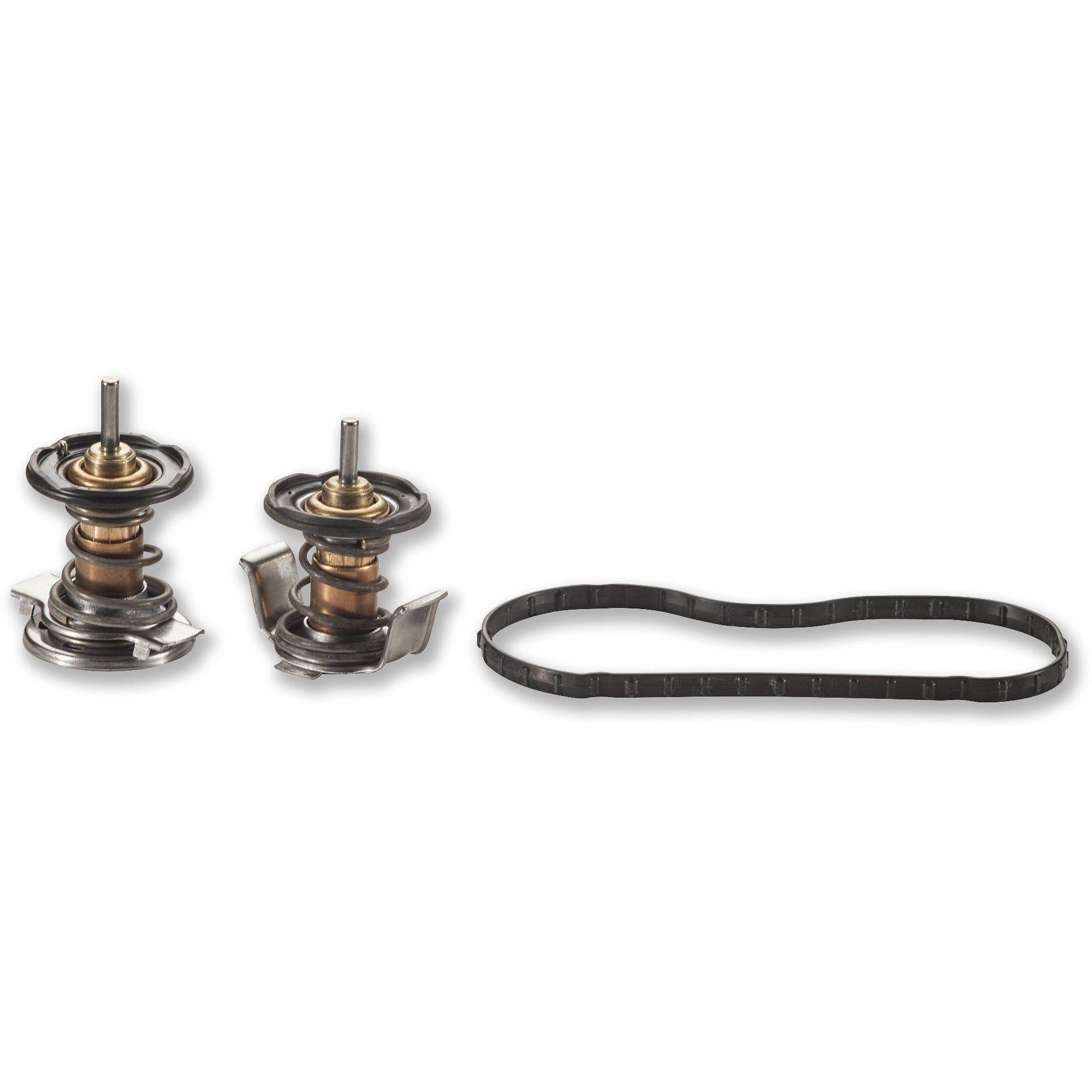 2008 - 2010 Ford F - Series 6.4L Powerstroke Thermostat Kit (AP63498)